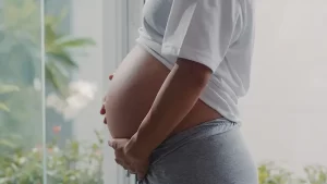 fertilidade