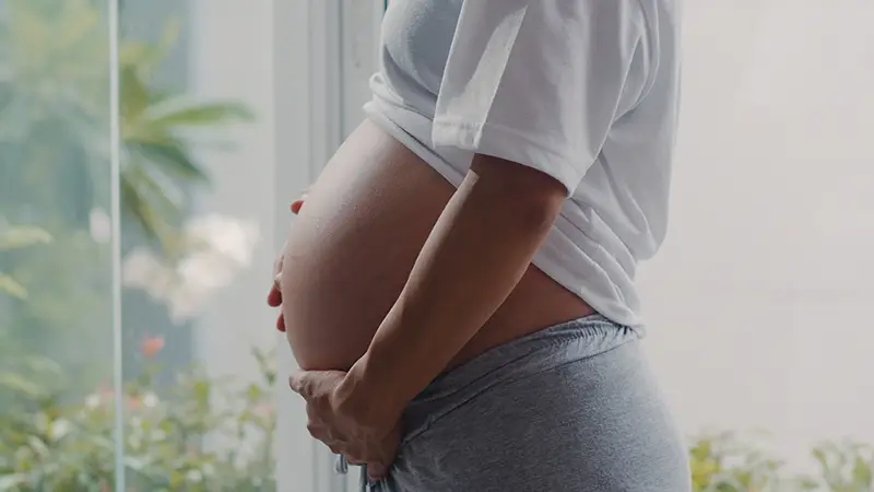 fertilidade